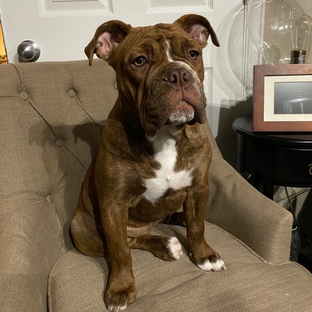 Meet your Posher, Ty